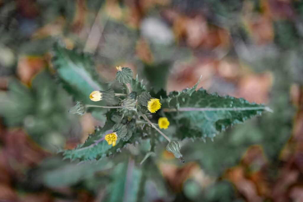 Kleine veranderingen die mijn dagen leuker maken